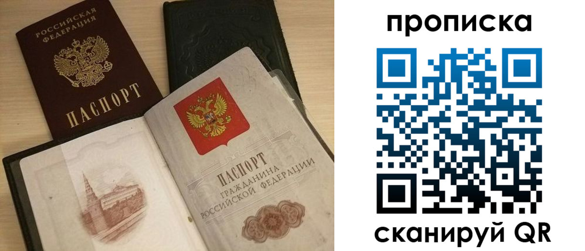 прописка в квартире в Фрязино